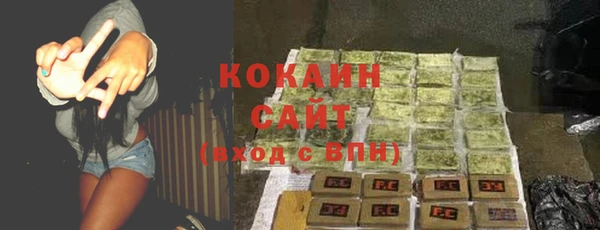 дживик Абинск